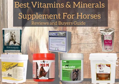 Vitamins for Horses .